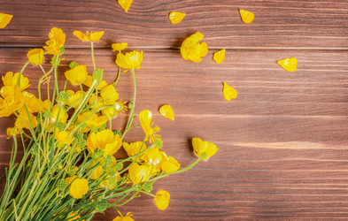 Similar image 21215645