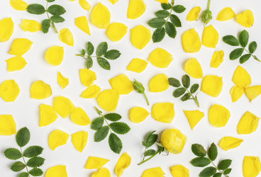 Similar image 21215646