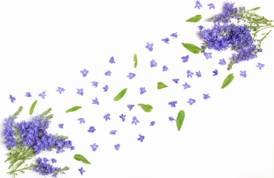 Similar image 21215648