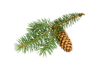 Similar image 21218334