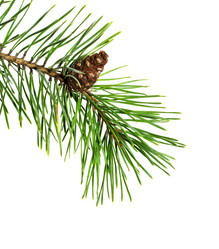 Similar image 21218335