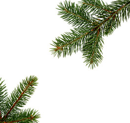 Similar image 21218336