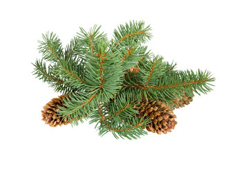 Similar image 21218338