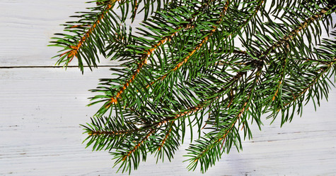 Similar image 21218344