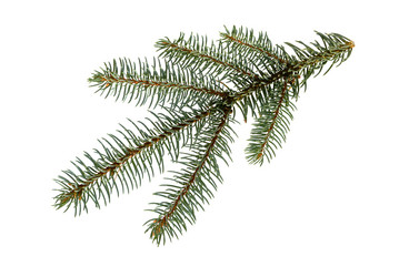 Similar image 21218348