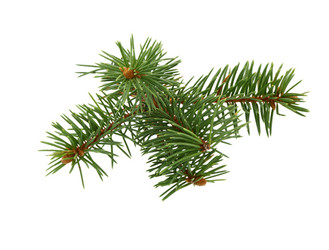 Similar image 21218351