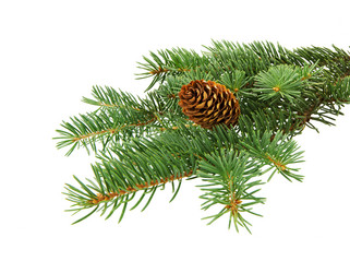 Similar image 21218353