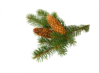 Similar image 21218355