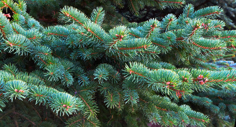 Similar image 21218357