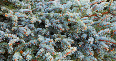 Similar image 21218359