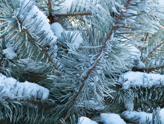 Similar image 21218362