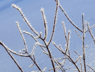 Similar image 21218239