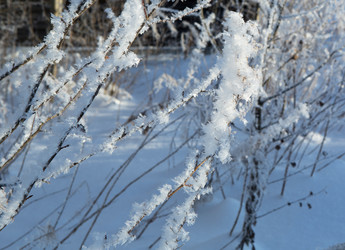 Similar image 21218241