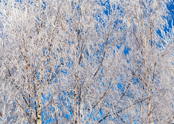 Similar image 21218242