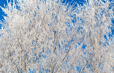 Similar image 21218243