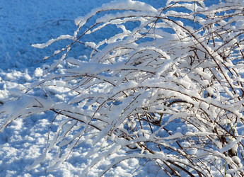 Similar image 21218244