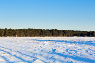 Similar image 21218376