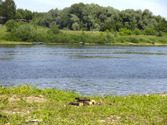 Similar image 21217598