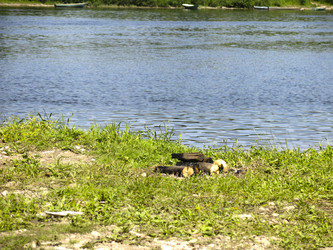 Similar image 21217600