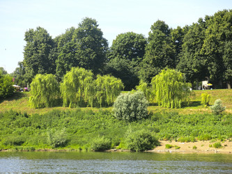 Similar image 21217601