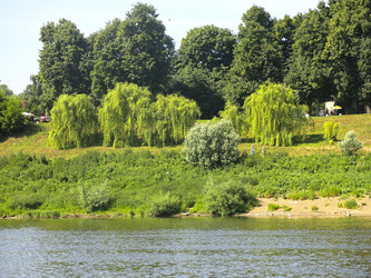 Similar image 21217602