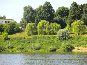 Similar image 21217603