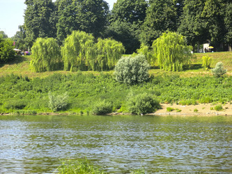 Similar image 21217608