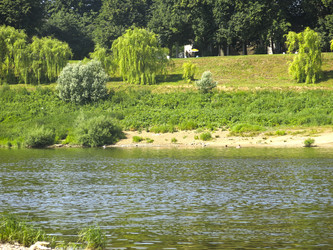 Similar image 21217609