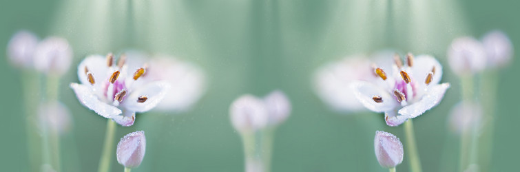 Similar image 21217648