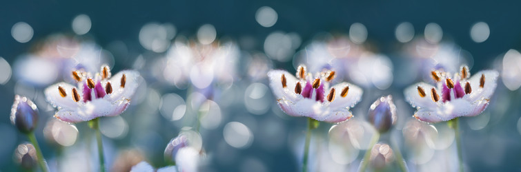 Similar image 21217650