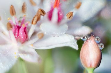 Similar image 21217651