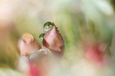 Similar image 21217652