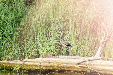 Similar image 21217653