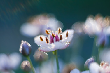 Similar image 21217655