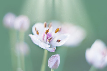 Similar image 21217656