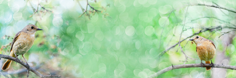 Similar image 21217659