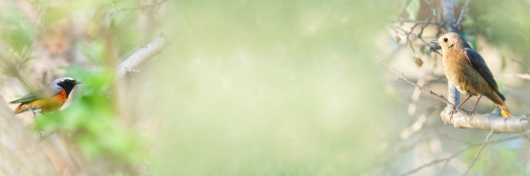 Similar image 21217660