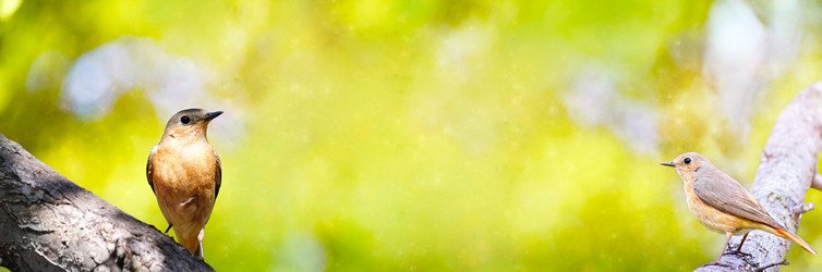 Similar image 21217661