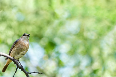 Similar image 21217665