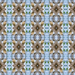 Similar image 21217667