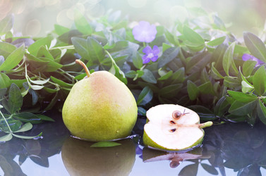 Similar image 21217668