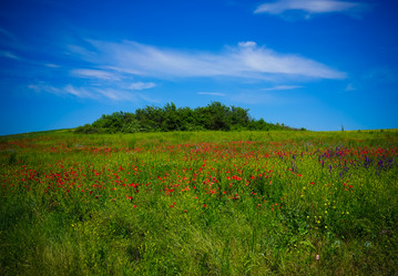 Similar image 21215823