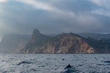 Similar image 21226642