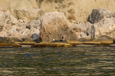 Similar image 21215714