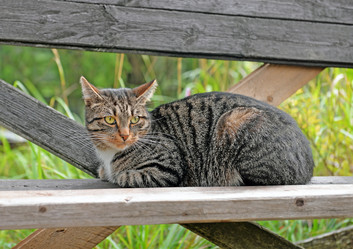 Similar image 21216570