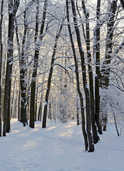 Similar image 21216573