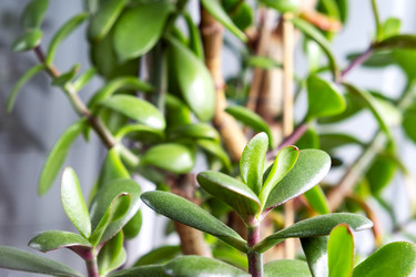 Similar image 21215856