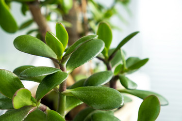 Similar image 21215857