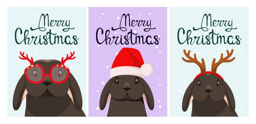 Similar image 21215861