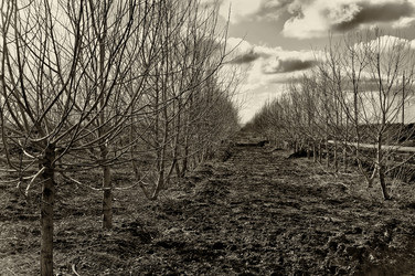 Similar image 21236593